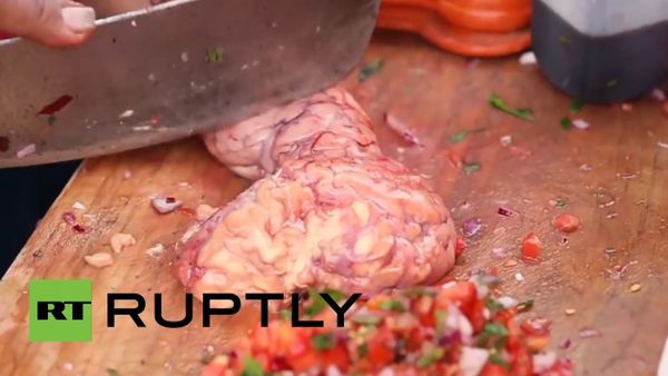 Watch as people enjoy 'cocktail' made with raw bull testicles - Sputnik International