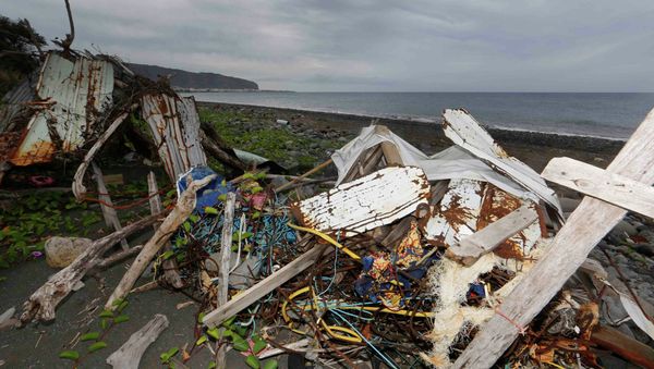 Debris that has washed onto the Jamaique beach in Saint-Denis is seen on the shoreline of French Indian Ocean island of La Reunion, August 3, 2015 Debris that has washed onto the Jamaique beach in Saint-Denis is seen on the shoreline of French Indian Ocean island of La Reunion, August 3, 2015 - Sputnik International