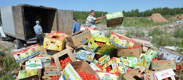 Banned tomatoes confiscated at the Russia-Belarus border are destroyed at the landfill near Gusino, Smolensk Region - Sputnik International