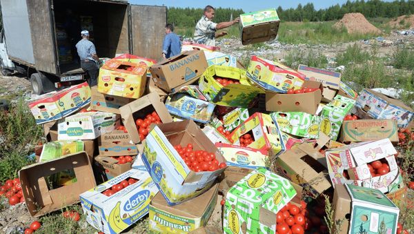 Banned tomatoes confiscated at the Russia-Belarus border are destroyed at the landfill near Gusino, Smolensk Region Banned tomatoes confiscated at the Russia-Belarus border are destroyed at the landfill near Gusino, Smolensk Region - Sputnik International