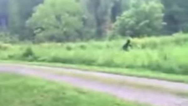 Bigfoot Discovered? - Sputnik International