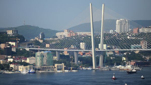 Bridge across Zolotoy Rog Bay in Vladivostok Bridge across Zolotoy Rog Bay in Vladivostok - Sputnik International