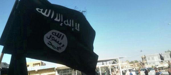 Militants from the al-Qaida-inspired Islamic State of Iraq and the Levant (ISIL) celebrate the group's declaration of an Islamic state, in Fallujah, 40 miles (65 kilometers) west of Baghdad, Iraq - Sputnik International