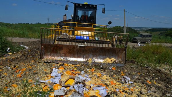 Elimination of sanctions products in Russia - Sputnik International