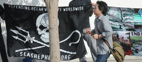 Anti-whaling militants protest on June 21, 2010 outside the venue of International Whaling Commission (IWC) meeting in Agadir - Sputnik International