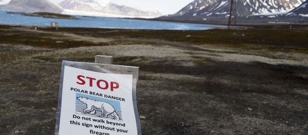 A warning sign reading 'stop, polar bear danger, do not walk beyond this sign without your firearm', at the entrance of the scientific base of Ny Alesund in the Svalbard archipelago - Sputnik International