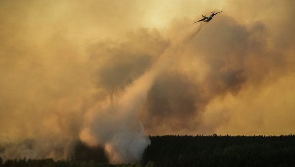 A firework plane extinguishes a forest fire in the Chernobyl area, Ukraine, Tuesday, April 28, 2015 A firework plane extinguishes a forest fire in the Chernobyl area, Ukraine, Tuesday, April 28, 2015 - Sputnik International