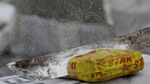 Package of cocaine - Sputnik International
