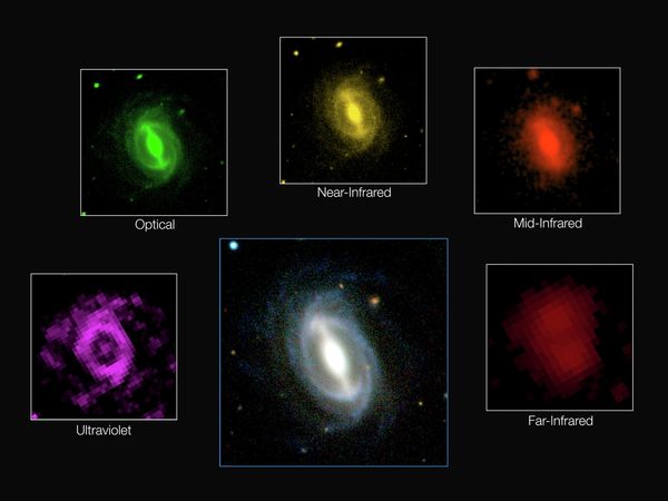 This composite picture shows how a typical galaxy appears at different wavelengths in the GAMA survey. This composite picture shows how a typical galaxy appears at different wavelengths in the GAMA survey. - Sputnik International