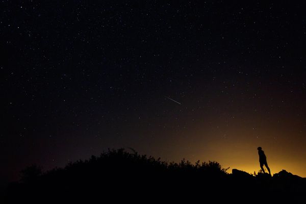Wish Upon a Star: Perseid Meteor Shower 2015 - Sputnik International