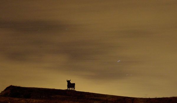 Wish Upon a Star: Perseid Meteor Shower 2015 - Sputnik International