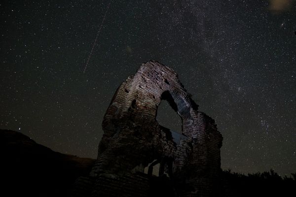 Wish Upon a Star: Perseid Meteor Shower 2015 - Sputnik International