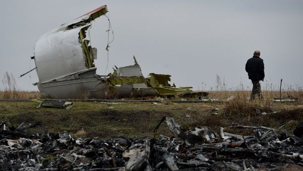 A man at the crash site of the MH 17 Malaysian Boeing that was en route from Amsterdam to Kuala Lumpur. - Sputnik International