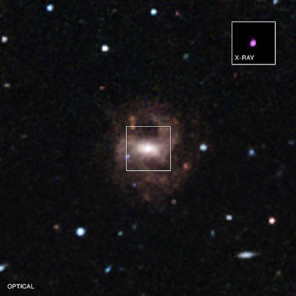 The black hole in RGG 118 is nearly 100 times less massive than the supermassive black hole found in the center of the Milky Way. It’s also about 200,000 times less massive than the heaviest black holes found in the centers of other galaxies. The black hole in RGG 118 is nearly 100 times less massive than the supermassive black hole found in the center of the Milky Way. It’s also about 200,000 times less massive than the heaviest black holes found in the centers of other galaxies. - Sputnik International