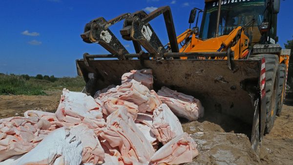 Destruction of the lard, which was confiscated on the Russian-Polish border, at one of the proving grounds in the Kaliningrad Region - Sputnik International
