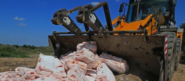 Destruction of the lard, which was confiscated on the Russian-Polish border, at one of the proving grounds in the Kaliningrad Region Destruction of the lard, which was confiscated on the Russian-Polish border, at one of the proving grounds in the Kaliningrad Region - Sputnik International