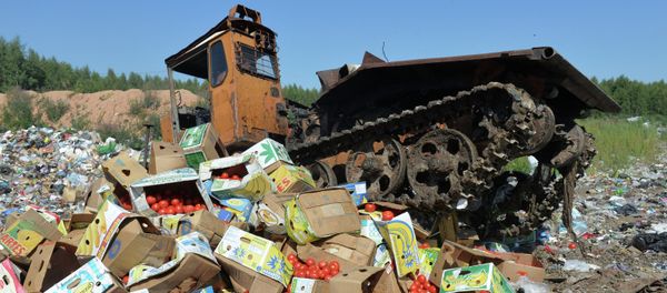 A group of lawmakers from the Communist fraction of Russia's lower house of parliament has introduced a bill aimed at redistributing foodstuffs confiscated under Russia's food embargo to those in need, and as humanitarian aid to conflict zones, the body's press service announced on Thursday. A group of lawmakers from the Communist fraction of Russia's lower house of parliament has introduced a bill aimed at redistributing foodstuffs confiscated under Russia's food embargo to those in need, and as humanitarian aid to conflict zones, the body's press service announced on Thursday. - Sputnik International