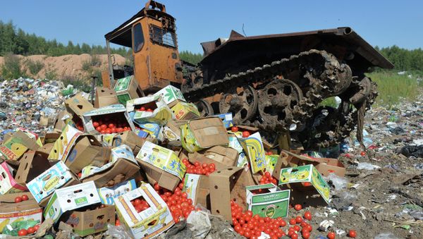 A group of lawmakers from the Communist fraction of Russia's lower house of parliament has introduced a bill aimed at redistributing foodstuffs confiscated under Russia's food embargo to those in need, and as humanitarian aid to conflict zones, the body's press service announced on Thursday. A group of lawmakers from the Communist fraction of Russia's lower house of parliament has introduced a bill aimed at redistributing foodstuffs confiscated under Russia's food embargo to those in need, and as humanitarian aid to conflict zones, the body's press service announced on Thursday. - Sputnik International