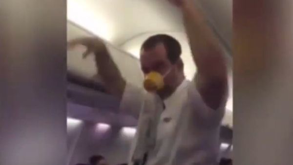 Entertaining Flight Attendant - Sputnik International