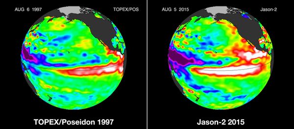 These false-color images provided by NASA satellites compare warm Pacific Ocean water temperatures from the strong El Nino that brought North America large amounts of rainfall in 1997, left, and the current El Nino as of Aug. 5, 2015, right. - Sputnik International