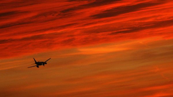 A plane is ready to land - Sputnik International