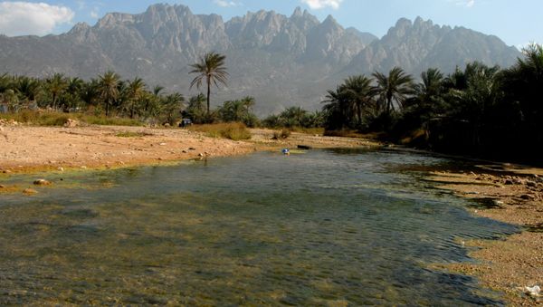 A picture shows a view of the untouched Yemeni Island of Socotra - Sputnik International