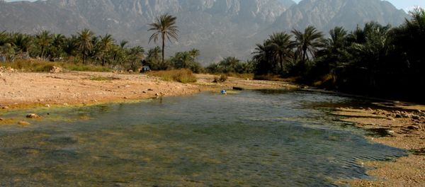 A picture shows a view of the untouched Yemeni Island of Socotra A picture shows a view of the untouched Yemeni Island of Socotra - Sputnik International
