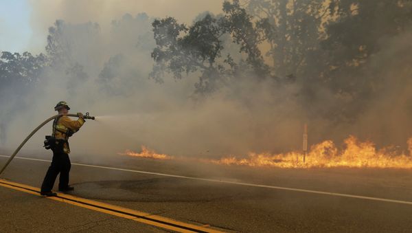 A firefighter sprays a hose at a fire burning along Morgan Valley Road near Lower Lake, Calif - Sputnik International