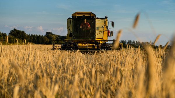 The drought in the American West is causing devastating consequences on US agriculture. - Sputnik International