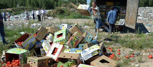Sanctioned foods destroyed in Russia - Sputnik International