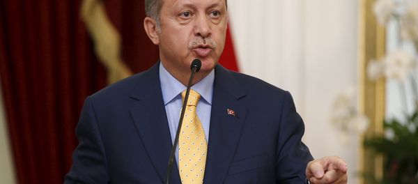 Turkey's President Recep Tayyip Erdogan speaks at a joint media briefing with Indonesia's President Joko Widodo at the presidential palace in Jakarta, Indonesia July 31, 2015 Turkey's President Recep Tayyip Erdogan speaks at a joint media briefing with Indonesia's President Joko Widodo at the presidential palace in Jakarta, Indonesia July 31, 2015 - Sputnik International