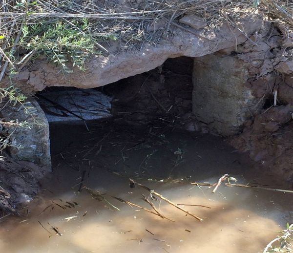 $29 Million Worth Haul of Drugs Unearthed in Narco Tunnel Under US-Mexico Border $29 Million Worth Haul of Drugs Unearthed in Narco Tunnel Under US-Mexico Border - Sputnik International