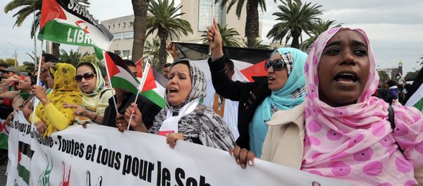Supporters of the Polisario Front separatist movement hold a banner reading All for Palestine, all for Western Sahara during a demonstration at the closing of the World Social Forum (WSF) in Tunis. (File) Supporters of the Polisario Front separatist movement hold a banner reading All for Palestine, all for Western Sahara during a demonstration at the closing of the World Social Forum (WSF) in Tunis. (File) - Sputnik International