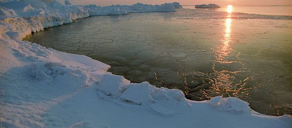 An Arctic dawn - Sputnik International