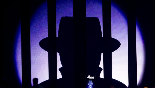 The Black Hat logo is displayed before a keynote address by Jennifer Granick, director of civil liberties at the Stanford Center for Internet and Society, during the Black Hat USA 2015 cybersecurity conference in Las Vegas, Nevada August 5, 2015 - Sputnik International
