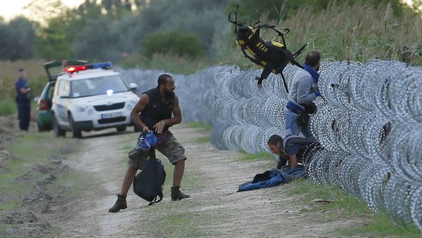Hungarian police positioned nearby watch as Syrian migrants climb under a fence to enter Hungary at the Hungarian-Serbian border near Roszke, Hungary August 26, 2015 Hungarian police positioned nearby watch as Syrian migrants climb under a fence to enter Hungary at the Hungarian-Serbian border near Roszke, Hungary August 26, 2015 - Sputnik International