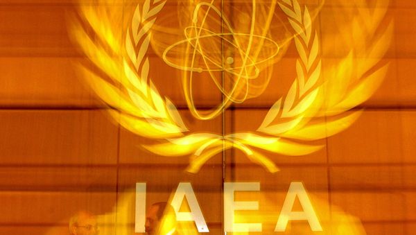 International Atomic Energy Agency's (IAEA) delegates speak in the board room prior to the IAEA meeting at the IAEA headquarters in Vienn - Sputnik International