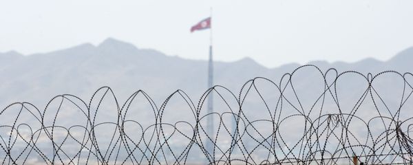 A North Korean flag behind the barbed wire of the Demilitarized Zone (DMZS) in the Joint Security Area near Panmunjom on the border between North and South Korea A North Korean flag behind the barbed wire of the Demilitarized Zone (DMZS) in the Joint Security Area near Panmunjom on the border between North and South Korea - Sputnik International