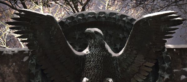 Snow falls on an eagle emblem at the Franklin D. Roosevelt memorial in Washington DC on February 16, 2015 Snow falls on an eagle emblem at the Franklin D. Roosevelt memorial in Washington DC on February 16, 2015 - Sputnik International