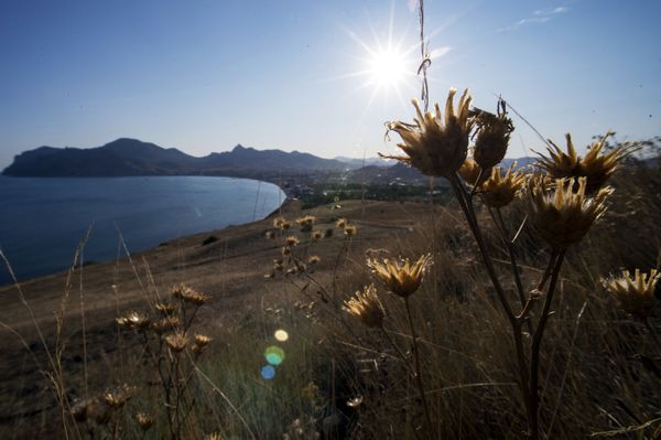 Koktebel: A Slice of Paradise in Crimea - Sputnik International