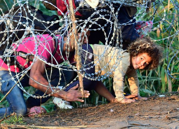 This Week in Pictures - Sputnik International