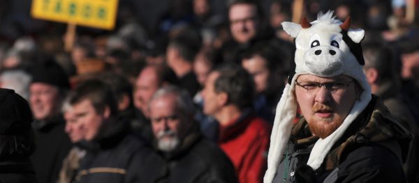 One of several thousand Czech farmers protests against planned budget cuts in front of Prague Castle on December 2, 2009 in the Czech capital One of several thousand Czech farmers protests against planned budget cuts in front of Prague Castle on December 2, 2009 in the Czech capital - Sputnik International
