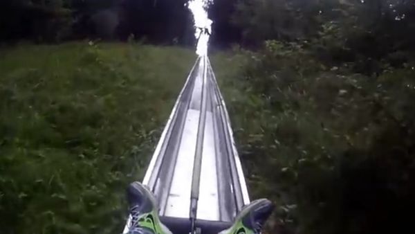 The descent on the hill in the woods - Sputnik International