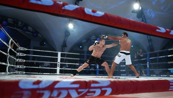President Putin, Prime Minister Medvedev attend combat sambo tournament in Sochi - Sputnik International