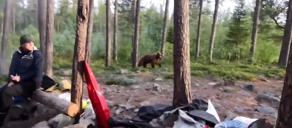 The Rabbit song and a bear. The Rabbit song and a bear. - Sputnik International