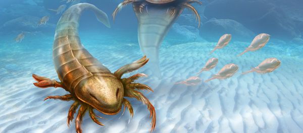 This rendering provided by Yale University shows a Pentecopterus decorahensis. This rendering provided by Yale University shows a Pentecopterus decorahensis. - Sputnik International
