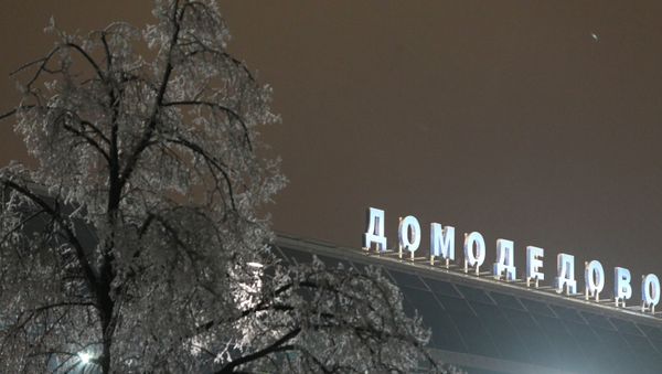 Domodedovo airport - Sputnik International