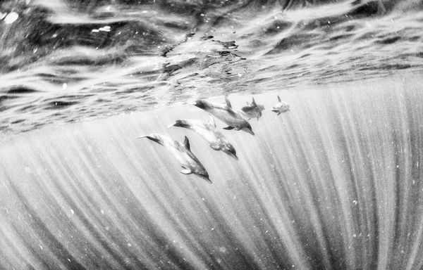 Each and every photograph is unique, unrepeatable and endless - so should be their interpretations. - Sputnik International