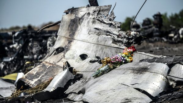 This photo taken on July 26, 2014 shows flowers, left by parents of an Australian victim of the crash, laid on a piece of the Malaysia Airlines plane MH17, near the village of Hrabove (Grabove), in the Donetsk region - Sputnik International