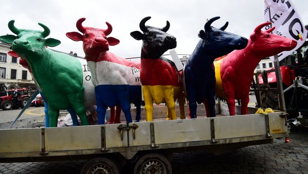 Fake cows brought by dairy farmers staging a demonstration stand in front of the European Parliament during a protest against the end of European milk quotas, in Brussels, March 31, 2015 Fake cows brought by dairy farmers staging a demonstration stand in front of the European Parliament during a protest against the end of European milk quotas, in Brussels, March 31, 2015 - Sputnik International
